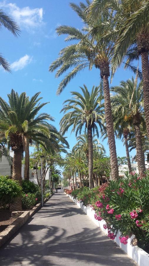 Simple Apartment Frontera Primavera Pool In South Tenerife Коста-дель-Силенцио Экстерьер фото